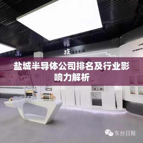 盐城半导体公司排名及行业影响力解析