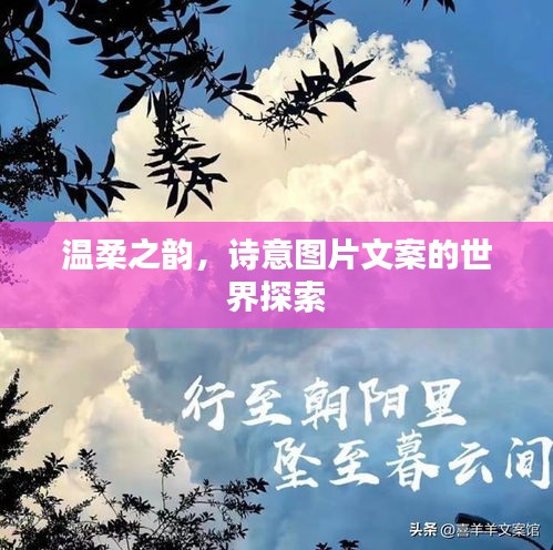 温柔之韵，诗意图片文案的世界探索