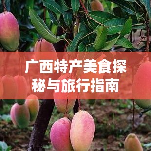 广西特产美食探秘与旅行指南