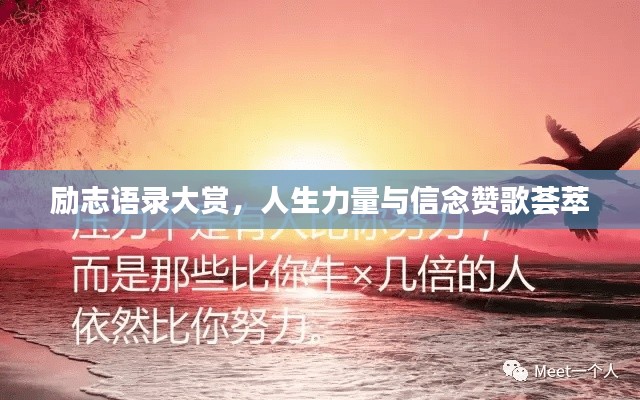 励志语录大赏，人生力量与信念赞歌荟萃