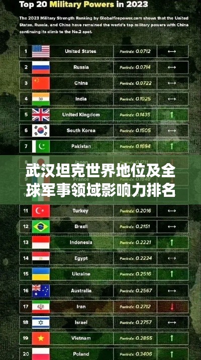武汉坦克世界地位及全球军事领域影响力排名揭秘