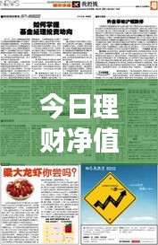 今日理财净值表一览，掌握财富动向，洞悉投资动态