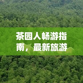 证书与荣誉 第17页