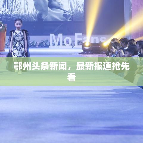 鄂州头条新闻，最新报道抢先看