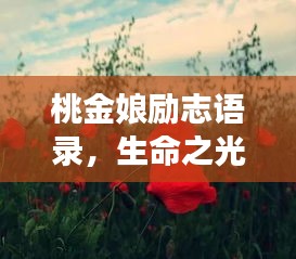 桃金娘励志语录，生命之光，梦想之影追寻路