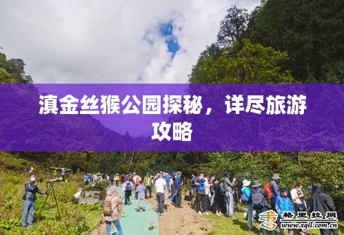 滇金丝猴公园探秘，详尽旅游攻略