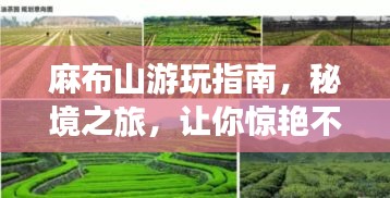 麻布山游玩指南，秘境之旅，让你惊艳不止！
