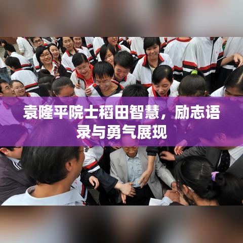 袁隆平院士稻田智慧，励志语录与勇气展现