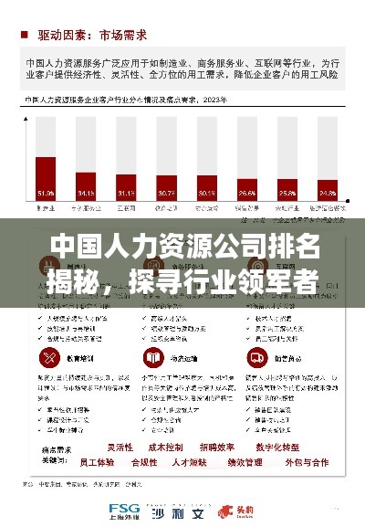 中国人力资源公司排名揭秘，探寻行业领军者的宝座