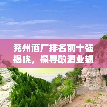 兖州酒厂排名前十强揭晓，探寻酿酒业翘楚的足迹