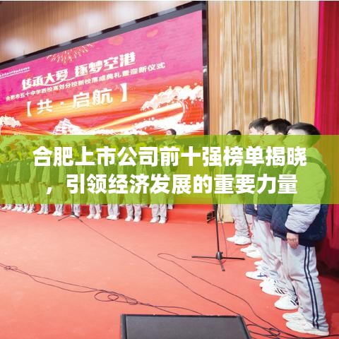 合肥上市公司前十强榜单揭晓，引领经济发展的重要力量