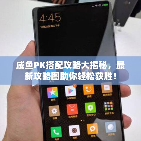 咸鱼PK搭配攻略大揭秘，最新攻略图助你轻松获胜！
