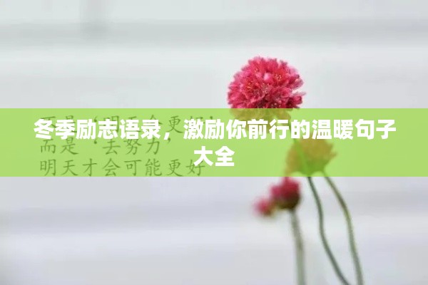 冬季励志语录，激励你前行的温暖句子大全