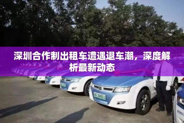 深圳合作制出租车遭遇退车潮，深度解析最新动态