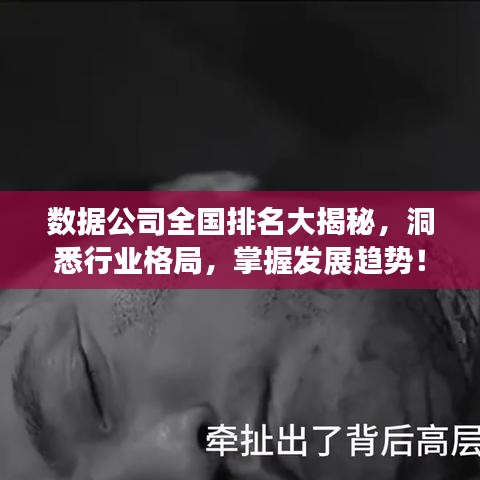 数据公司全国排名大揭秘，洞悉行业格局，掌握发展趋势！