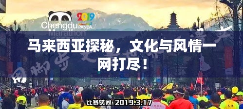 管理团队 第14页