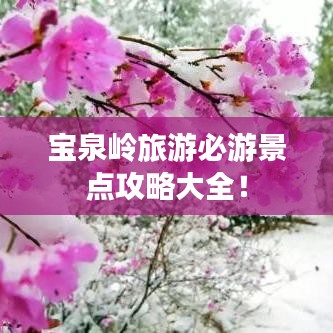 证书与荣誉 第13页