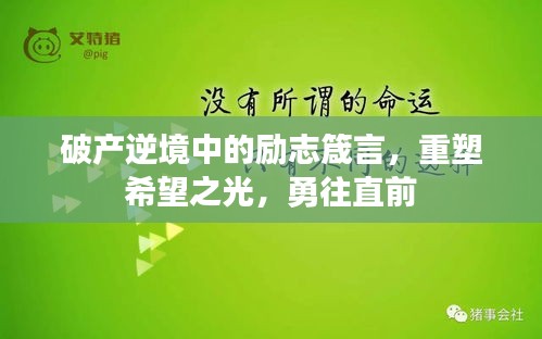 破产逆境中的励志箴言，重塑希望之光，勇往直前