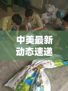 寥若晨星