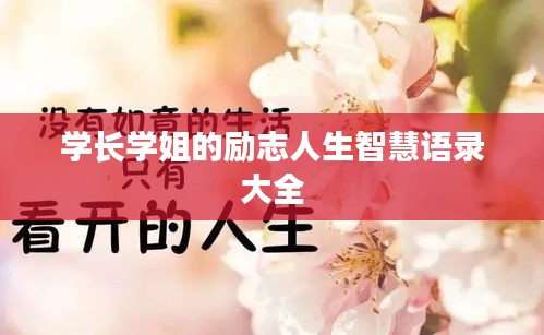 学长学姐的励志人生智慧语录大全