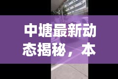 中塘最新动态揭秘，本地头条新闻与发展趋势速览