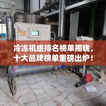 逆风飞扬