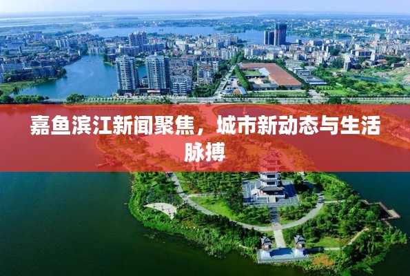 嘉鱼滨江新闻聚焦，城市新动态与生活脉搏