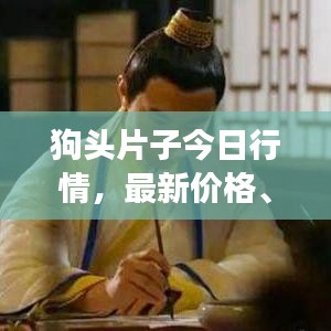 狗头片子今日行情，最新价格、市场走势与影响因素深度解析