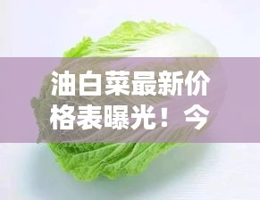 油白菜最新价格表曝光！今日行情一网打尽