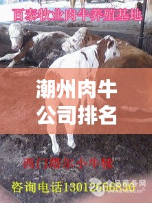 潮州肉牛公司排名揭晓，影响力深度解析