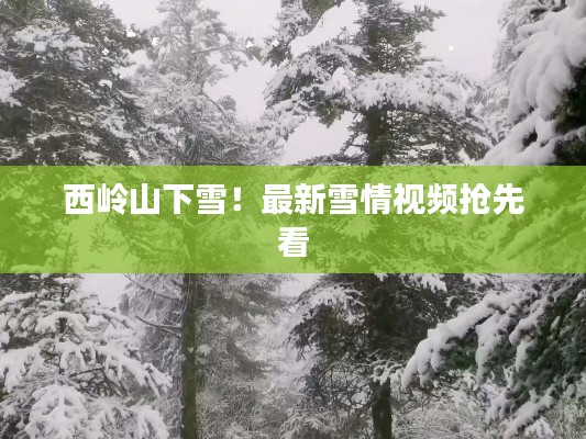 证书与荣誉 第10页