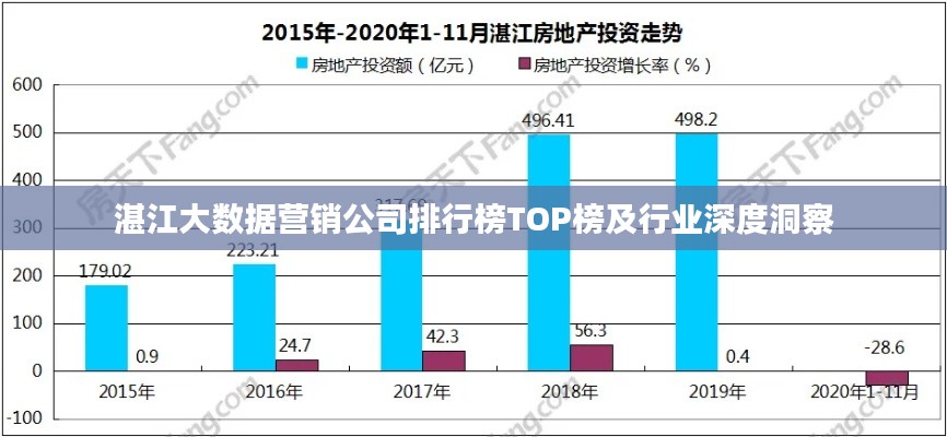 湛江大数据营销公司排行榜TOP榜及行业深度洞察