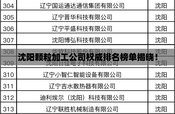 发展历程 第10页