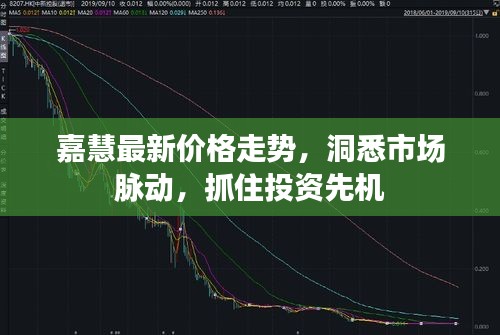 嘉慧最新价格走势，洞悉市场脉动，抓住投资先机