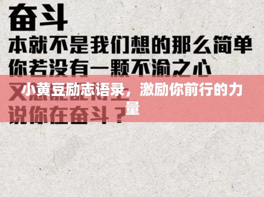 小黄豆励志语录，激励你前行的力量