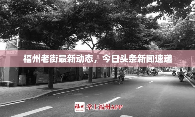 福州老街最新动态，今日头条新闻速递