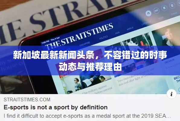 新加坡最新新闻头条，不容错过的时事动态与推荐理由