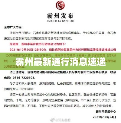 发展历程 第8页