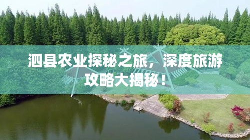 泗县农业探秘之旅，深度旅游攻略大揭秘！
