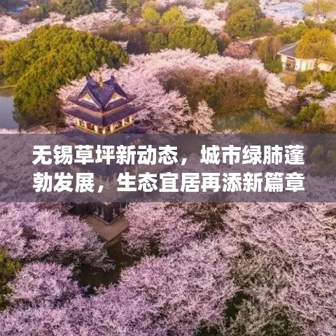 无锡草坪新动态，城市绿肺蓬勃发展，生态宜居再添新篇章