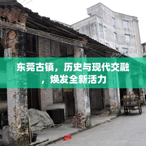 公司简介 第7页