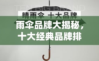 雨伞品牌大揭秘，十大经典品牌排名榜单！