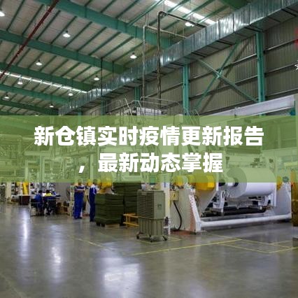 新仓镇实时疫情更新报告，最新动态掌握