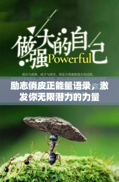励志俏皮正能量语录，激发你无限潜力的力量
