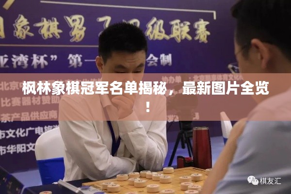 枫林象棋冠军名单揭秘，最新图片全览！