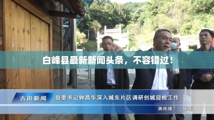 白峰县最新新闻头条，不容错过！