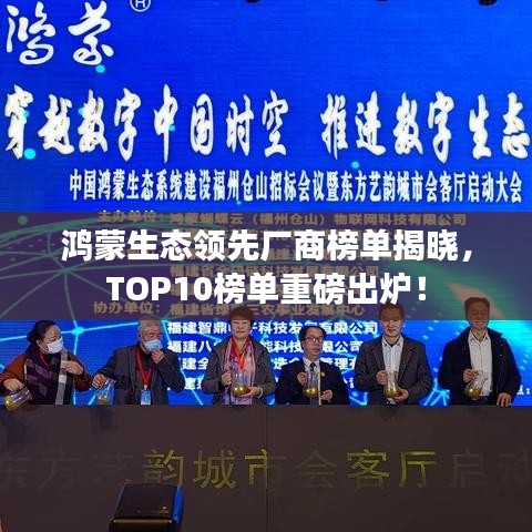 鸿蒙生态领先厂商榜单揭晓，TOP10榜单重磅出炉！