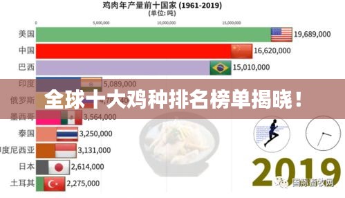 全球十大鸡种排名榜单揭晓！