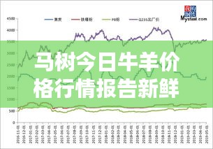 马树今日牛羊价格行情报告新鲜出炉！