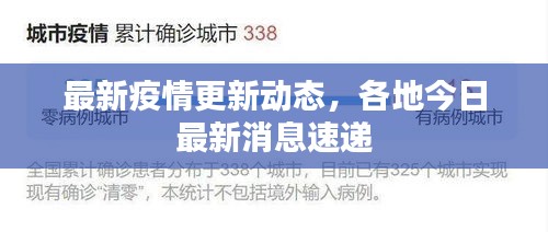 证书与荣誉 第7页